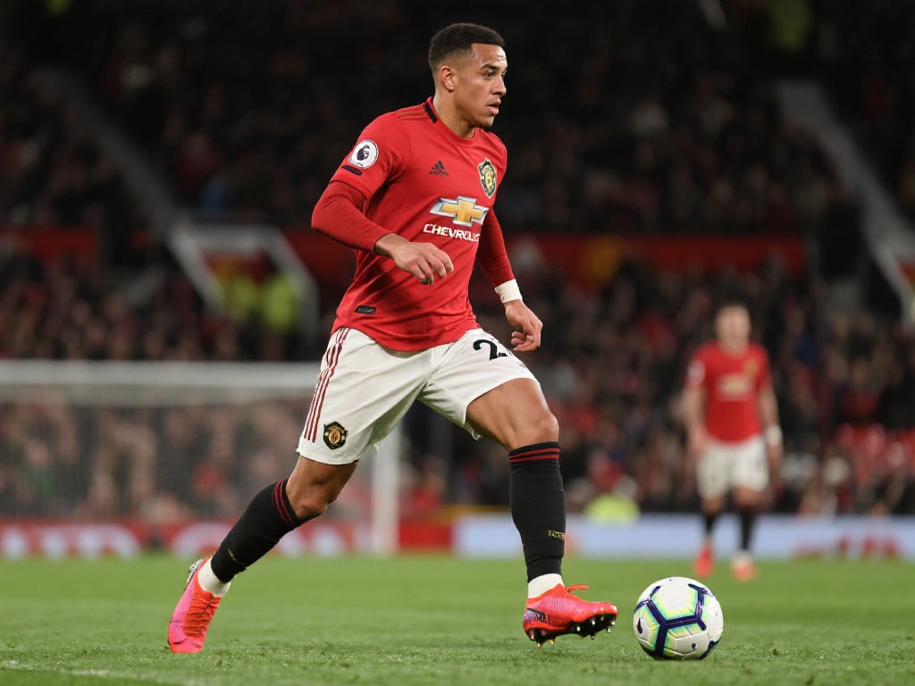 小明的免费 小明的免费