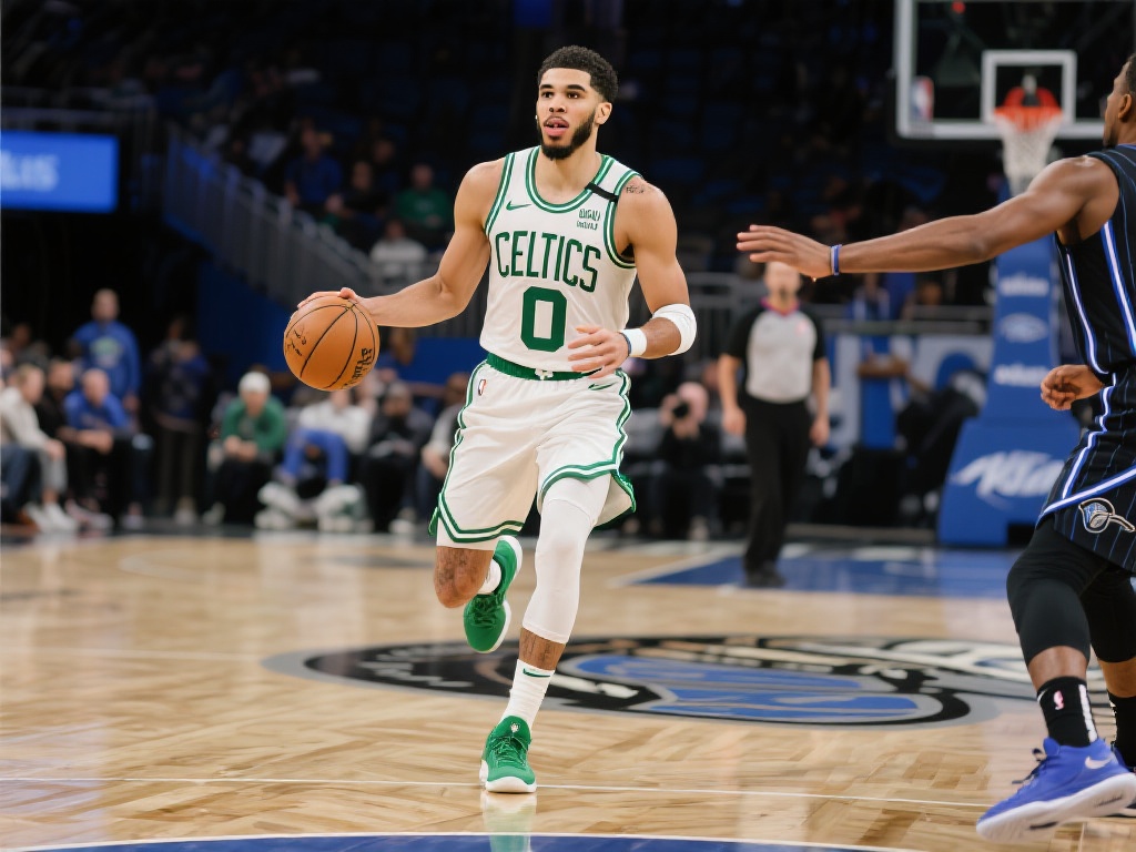 丹麦在组织 丹麦在组织